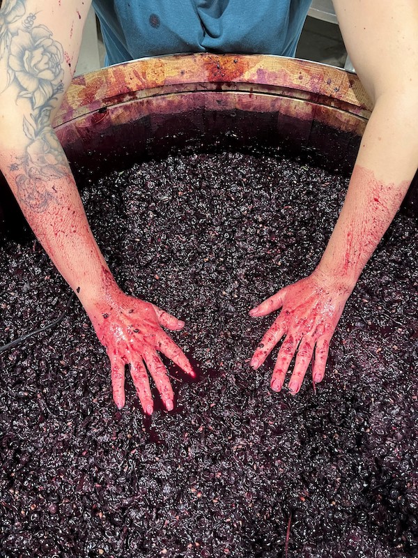 Pigeage manuel — geste artisan du domaine Peyros